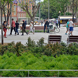 ÁREA DE ECOLOGÍA URBANA