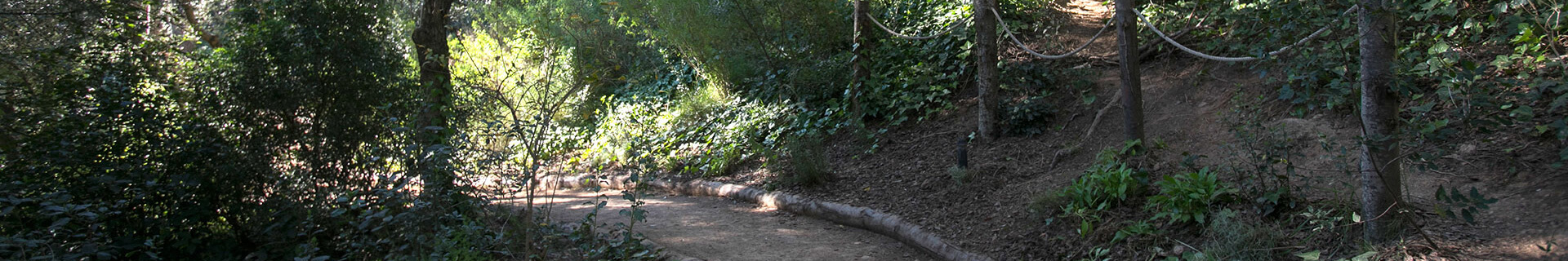 NATURALEZA Y BIODIVERSIDAD