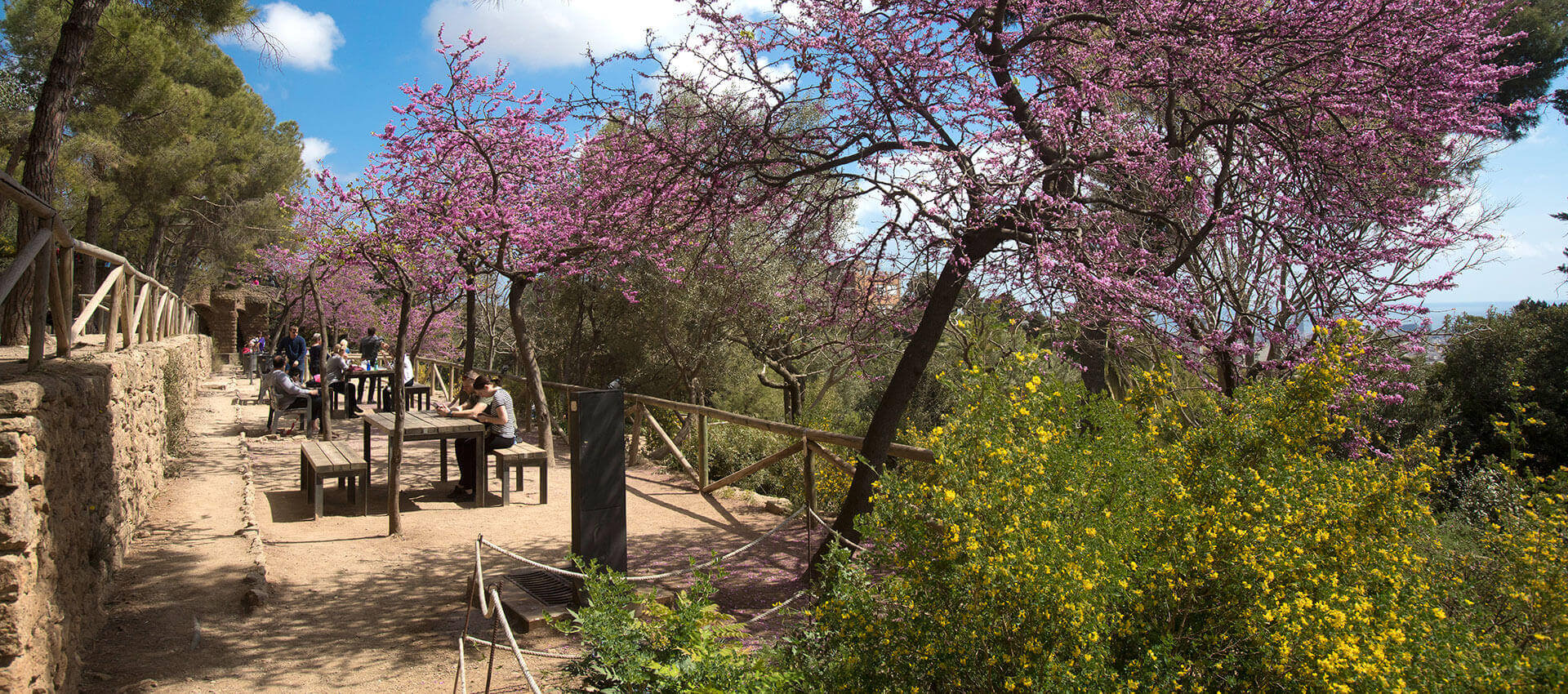 Espacios de estancia y ocio